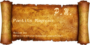 Pantits Magnusz névjegykártya